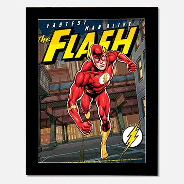 The Flash: Fastest Man Alive 3D Picture