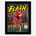 The Flash: Fastest Man Alive 3D Picture