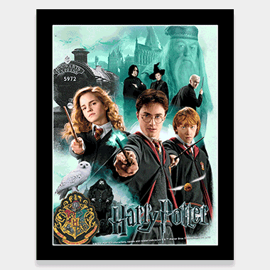 Harry Potter Hogwarts 3D Picture