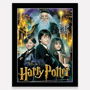 Harry Potter 3D Picture
