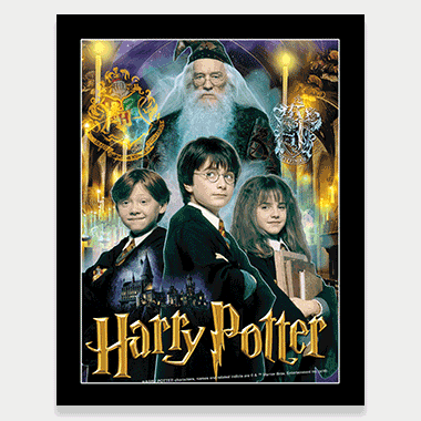 Harry Potter 3D Picture