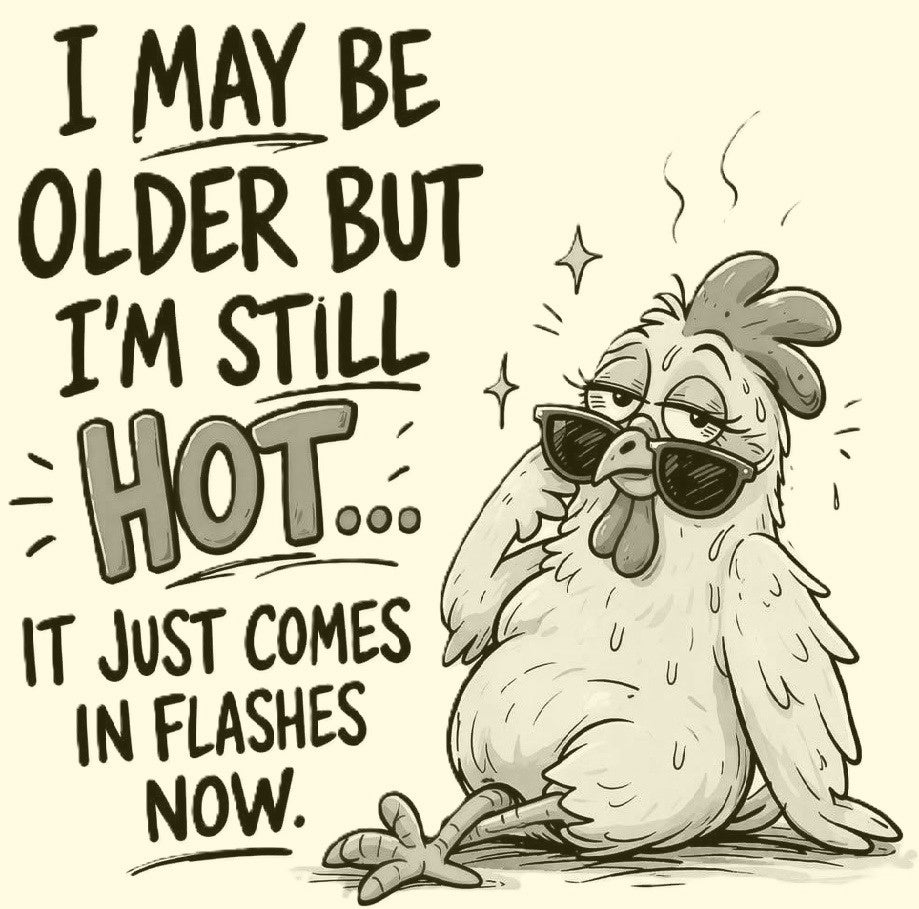 Hot Flashes Laser Printed Sign