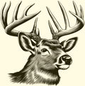 Majestic Buck Laser Printed Sign
