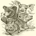 Woodland Creatures