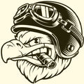 Vintage Eagle Aviator Laser Printed Sign