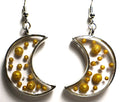 Silver-Toned Crescent Moon Earring Set