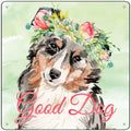 Australian Shepherd Good Dog Novelty Square Sign 12" Sign (SQ)