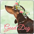 Black Dachshund Good Dog Novelty Square Sign 12" Sign (SQ)