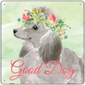 Grey Poodle Good Dog Novelty Square Sign 12" Sign (SQ)