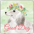 White Poodle Good Dog Novelty Square Sign 12" Sign (SQ)