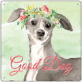 Italian Greyhound Good Dog Novelty Square Sign 12" Sign (SQ)