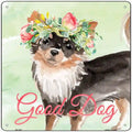 Black Chihuahua Good Dog Novelty Square Sign 12" Sign (SQ)