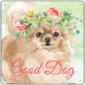 Pomeranian Good Dog Novelty Square Sign 12" Sign (SQ)